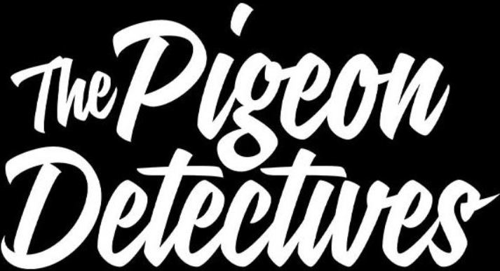 The Pigeon Detectives